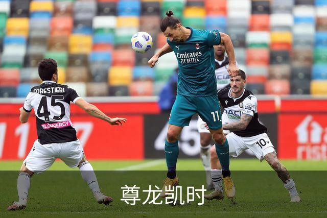 尊龙凯时 公司介绍